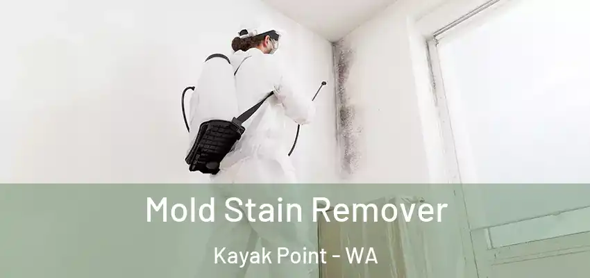  Mold Stain Remover Kayak Point - WA