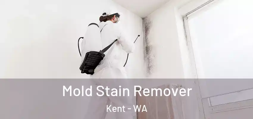  Mold Stain Remover Kent - WA