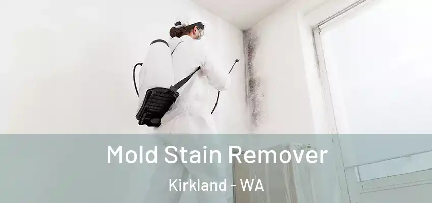  Mold Stain Remover Kirkland - WA