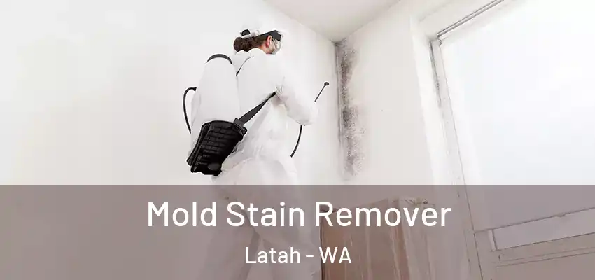  Mold Stain Remover Latah - WA
