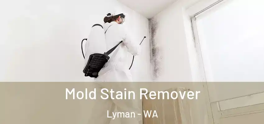  Mold Stain Remover Lyman - WA