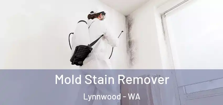  Mold Stain Remover Lynnwood - WA