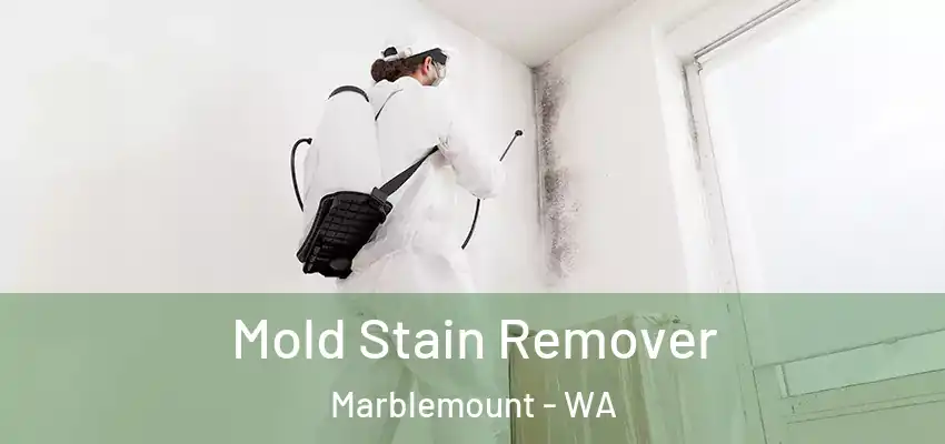  Mold Stain Remover Marblemount - WA