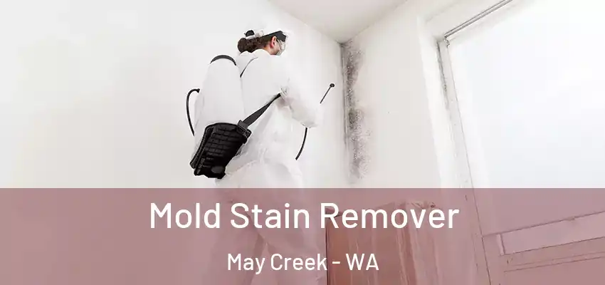  Mold Stain Remover May Creek - WA