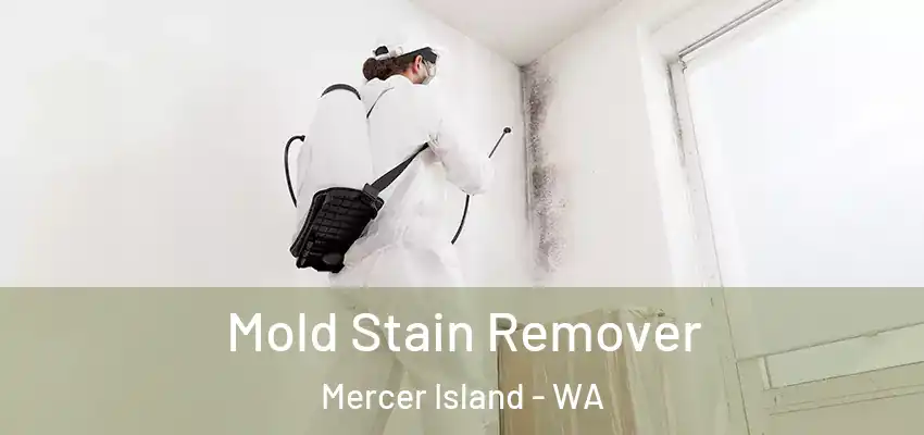  Mold Stain Remover Mercer Island - WA