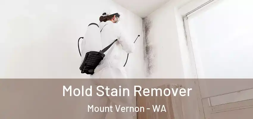 Mold Stain Remover Mount Vernon - WA