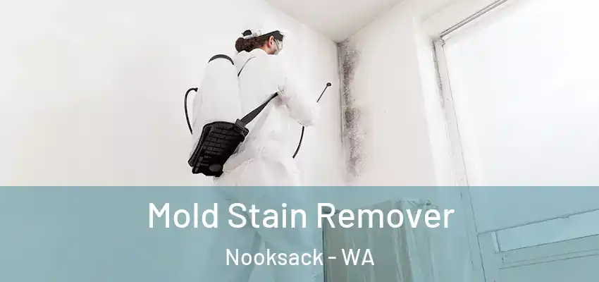 Mold Stain Remover Nooksack - WA