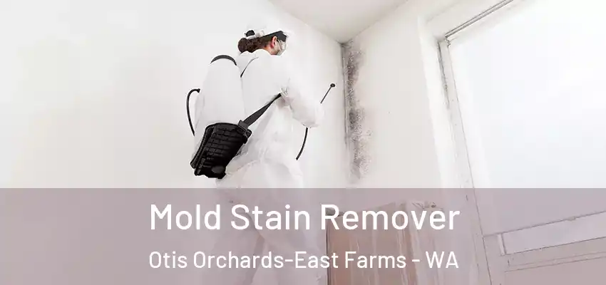 Mold Stain Remover Otis Orchards-East Farms - WA
