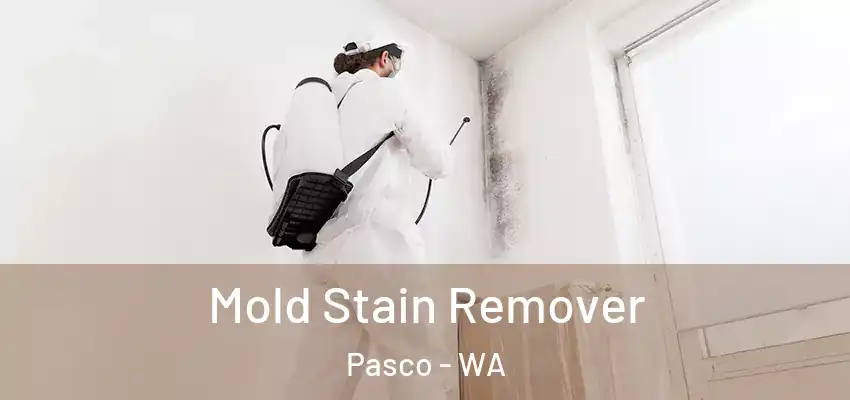 Mold Stain Remover Pasco - WA