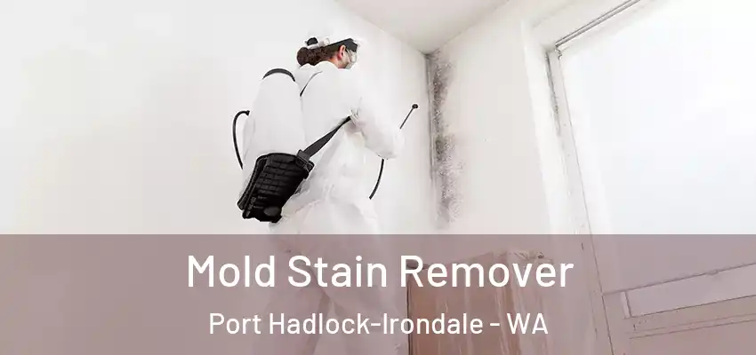  Mold Stain Remover Port Hadlock-Irondale - WA