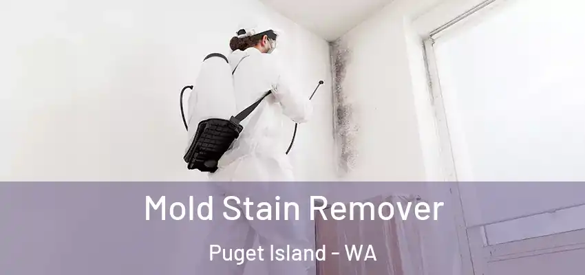 Mold Stain Remover Puget Island - WA