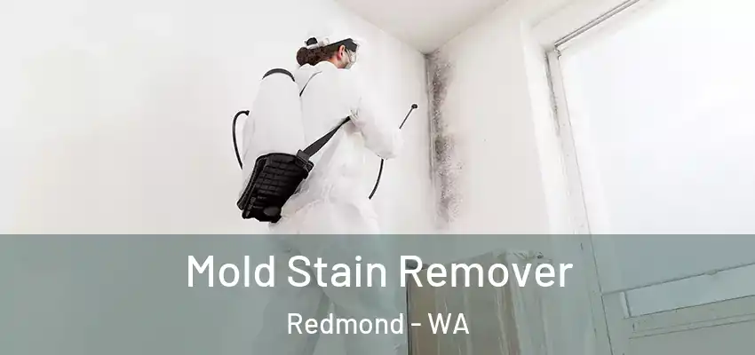  Mold Stain Remover Redmond - WA
