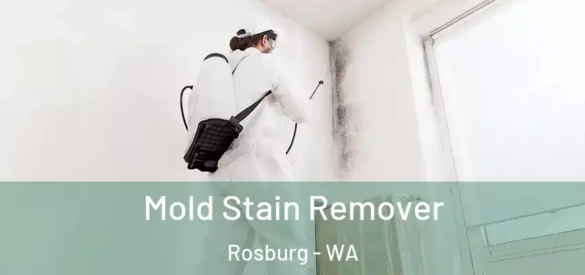  Mold Stain Remover Rosburg - WA