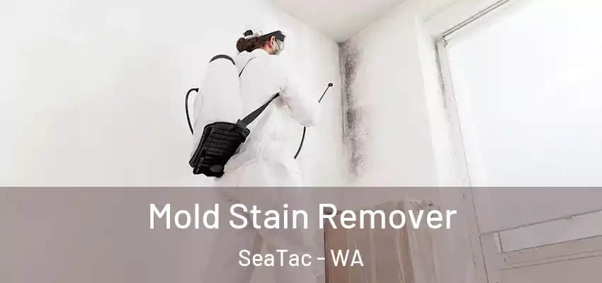  Mold Stain Remover SeaTac - WA