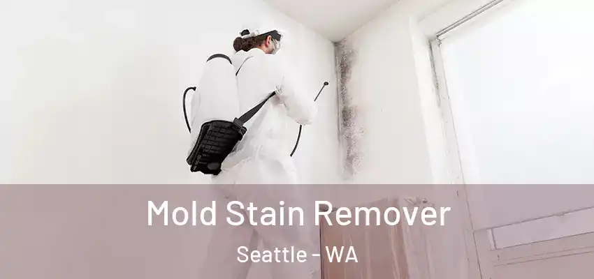  Mold Stain Remover Seattle - WA