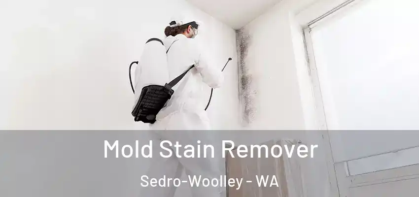 Mold Stain Remover Sedro-Woolley - WA
