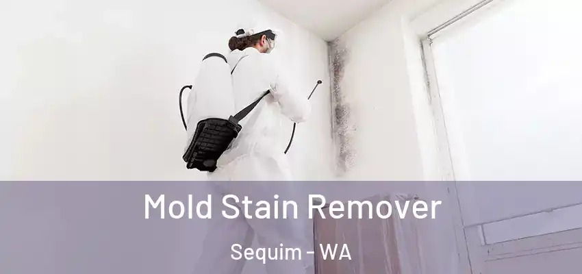 Mold Stain Remover Sequim - WA