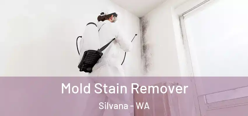  Mold Stain Remover Silvana - WA