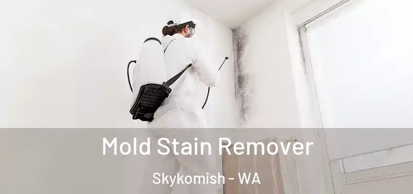  Mold Stain Remover Skykomish - WA