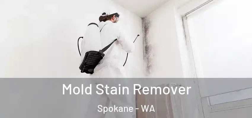  Mold Stain Remover Spokane - WA