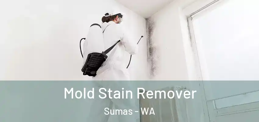  Mold Stain Remover Sumas - WA