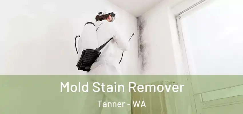  Mold Stain Remover Tanner - WA