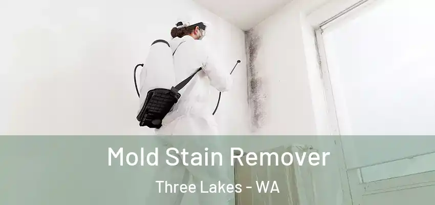  Mold Stain Remover Three Lakes - WA