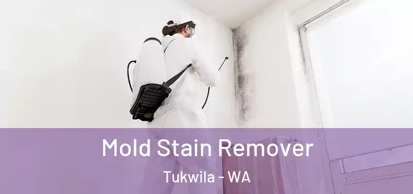 Mold Stain Remover Tukwila - WA