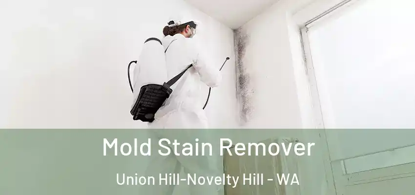  Mold Stain Remover Union Hill-Novelty Hill - WA