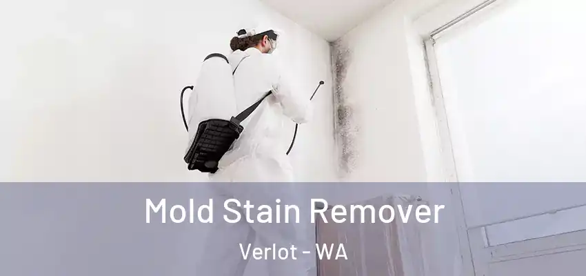  Mold Stain Remover Verlot - WA