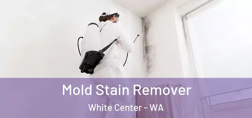  Mold Stain Remover White Center - WA