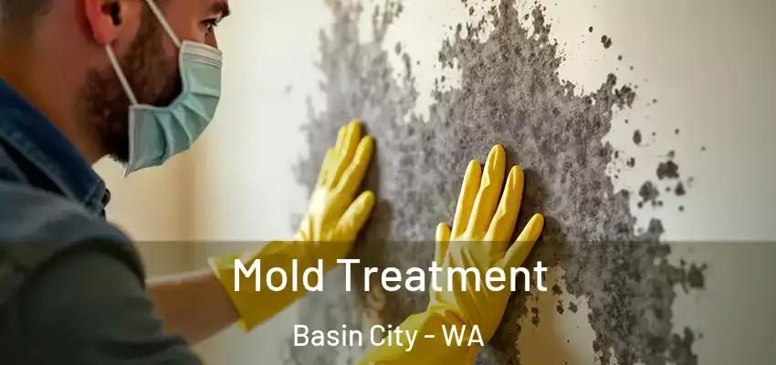  Mold Treatment Basin City - WA