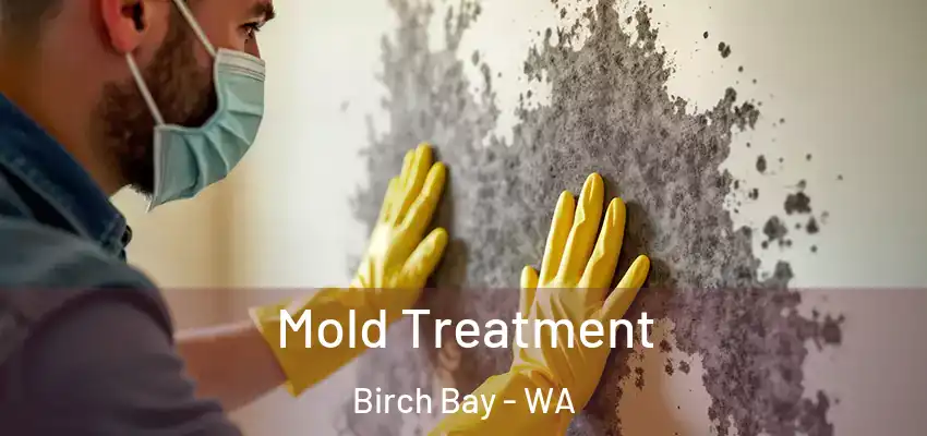  Mold Treatment Birch Bay - WA