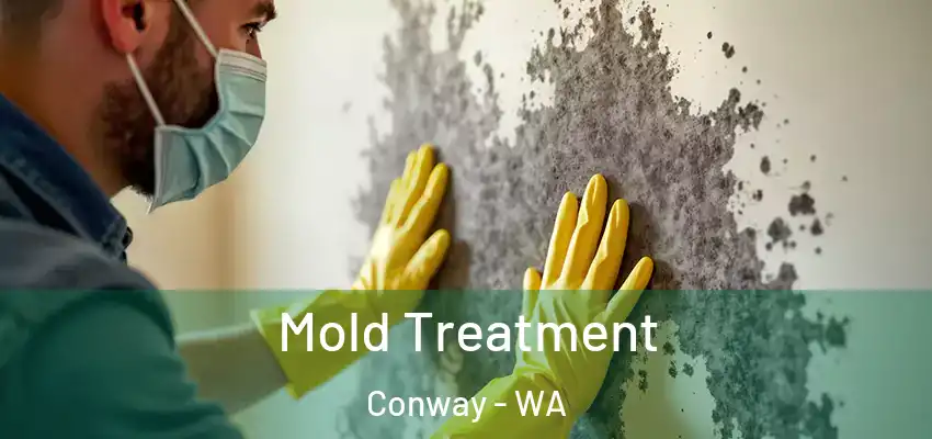  Mold Treatment Conway - WA