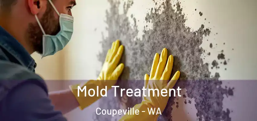  Mold Treatment Coupeville - WA