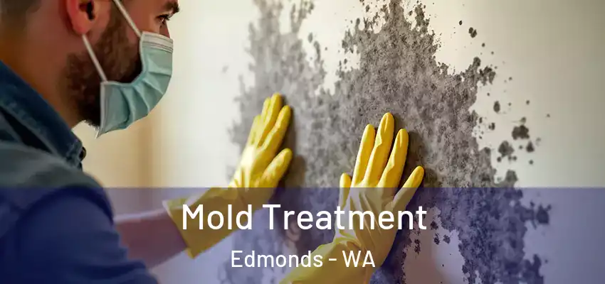  Mold Treatment Edmonds - WA