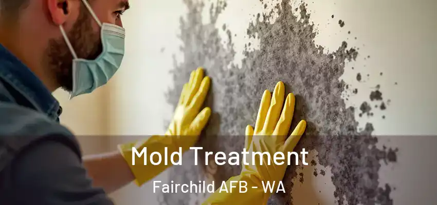  Mold Treatment Fairchild AFB - WA
