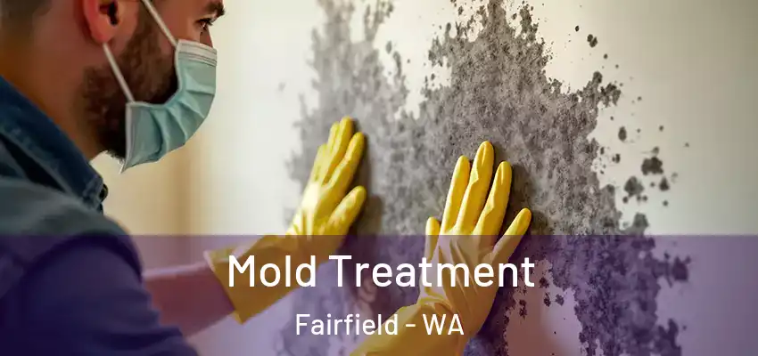  Mold Treatment Fairfield - WA