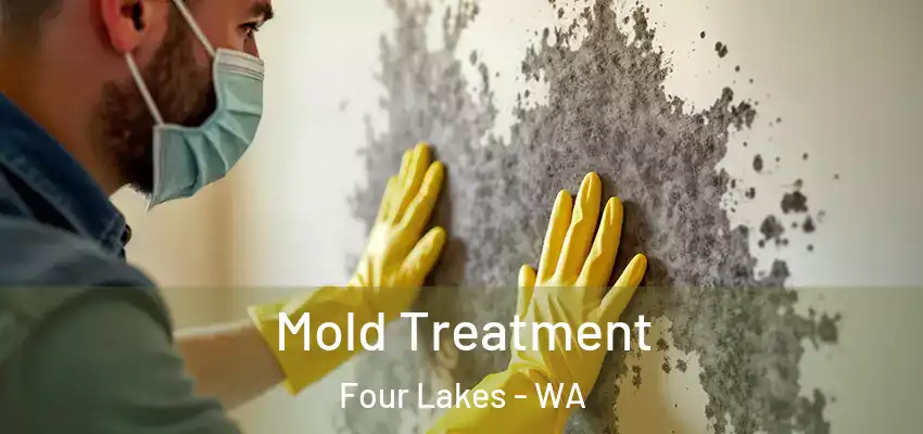  Mold Treatment Four Lakes - WA