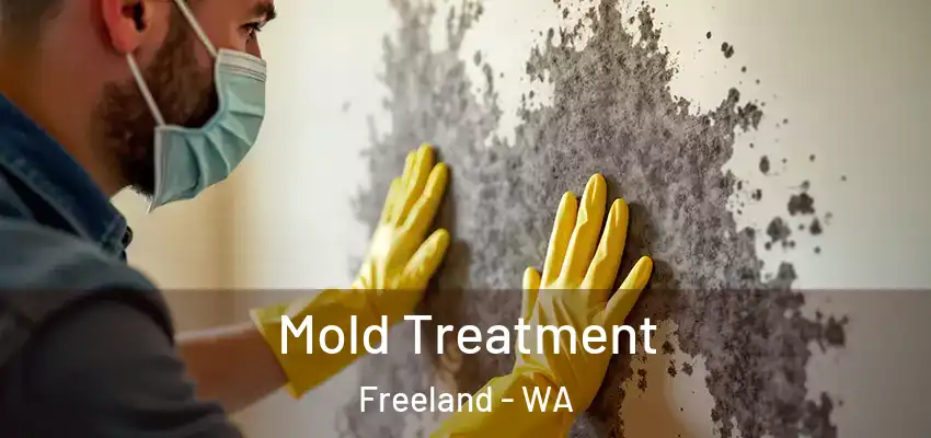  Mold Treatment Freeland - WA