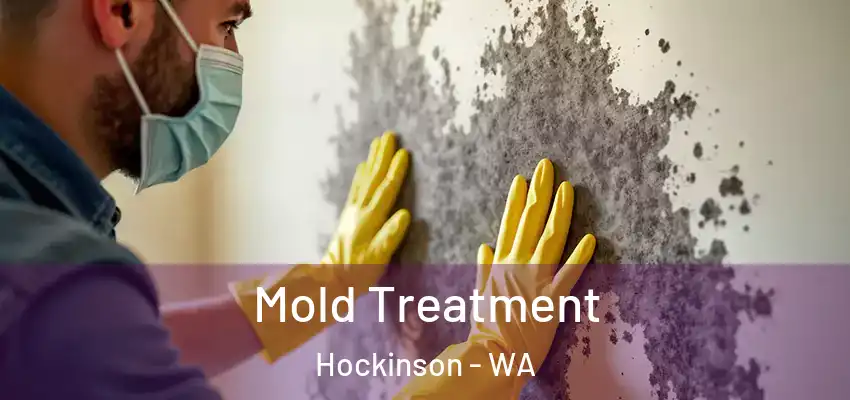  Mold Treatment Hockinson - WA