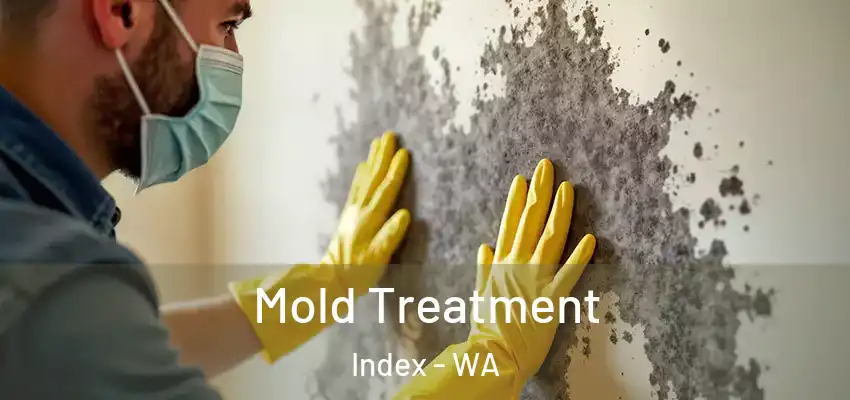  Mold Treatment Index - WA