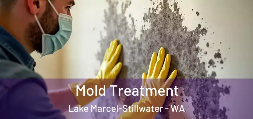  Mold Treatment Lake Marcel-Stillwater - WA