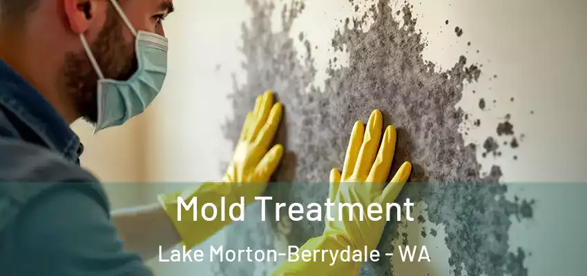  Mold Treatment Lake Morton-Berrydale - WA
