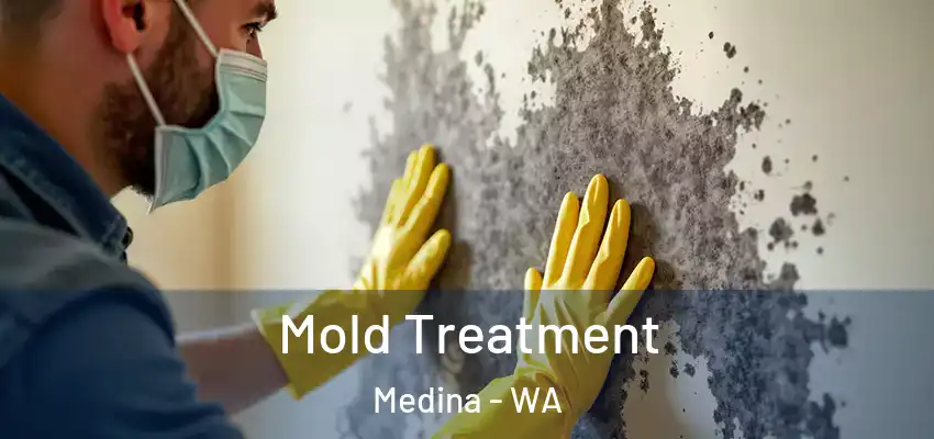  Mold Treatment Medina - WA