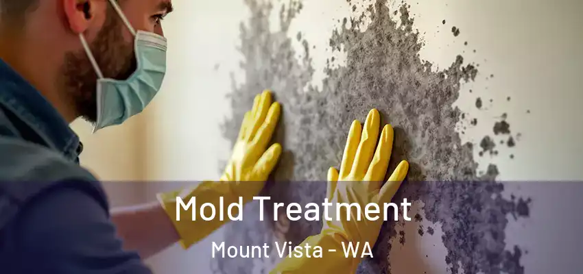  Mold Treatment Mount Vista - WA