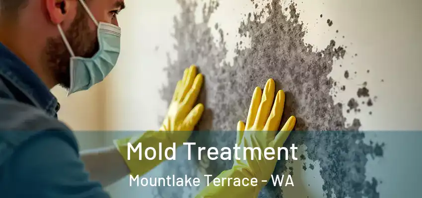  Mold Treatment Mountlake Terrace - WA