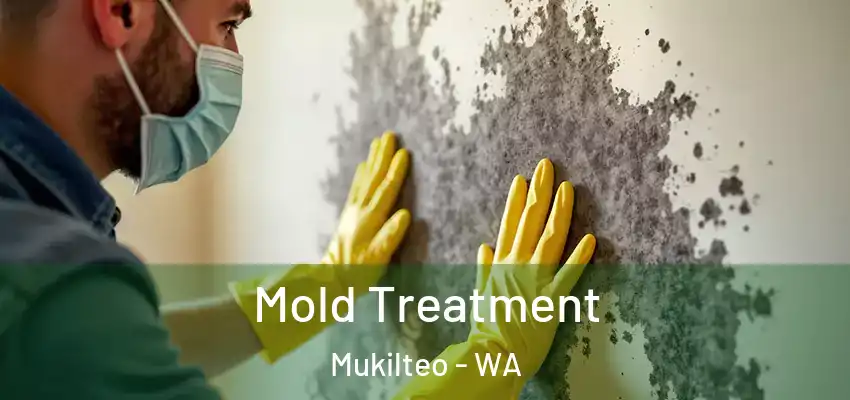  Mold Treatment Mukilteo - WA