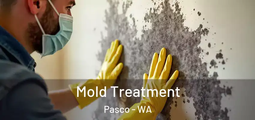  Mold Treatment Pasco - WA