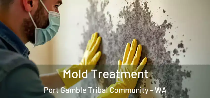 Mold Treatment Port Gamble Tribal Community - WA